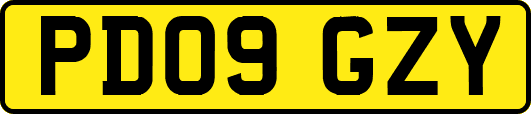 PD09GZY