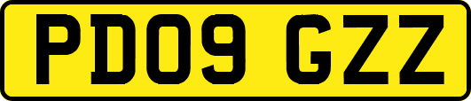 PD09GZZ
