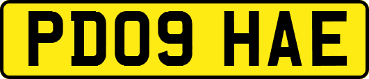PD09HAE