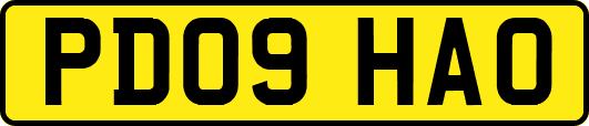 PD09HAO