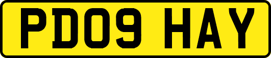 PD09HAY