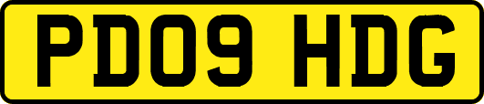 PD09HDG