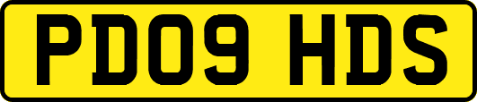 PD09HDS