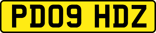 PD09HDZ