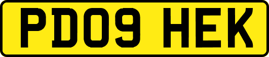 PD09HEK