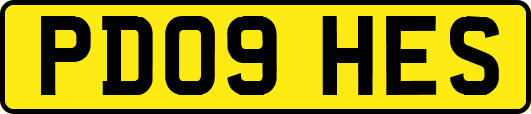 PD09HES