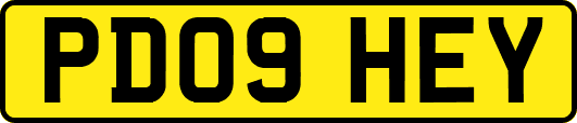 PD09HEY