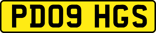 PD09HGS