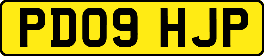 PD09HJP