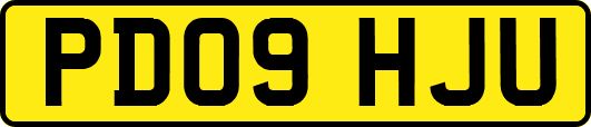 PD09HJU