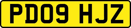 PD09HJZ