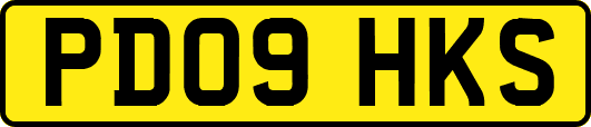 PD09HKS