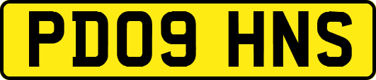 PD09HNS