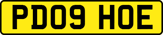 PD09HOE