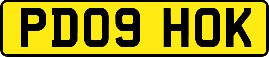 PD09HOK