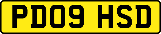 PD09HSD