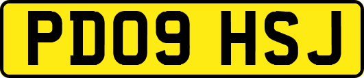 PD09HSJ