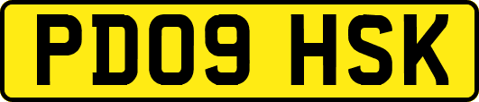 PD09HSK