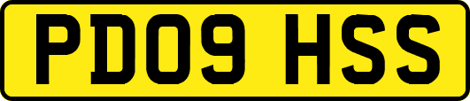 PD09HSS