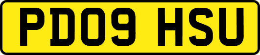 PD09HSU