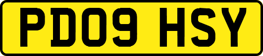 PD09HSY