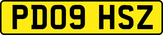 PD09HSZ
