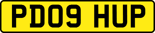 PD09HUP