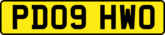 PD09HWO