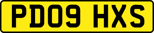 PD09HXS