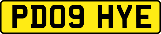 PD09HYE