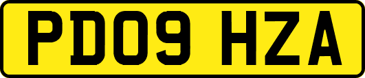 PD09HZA
