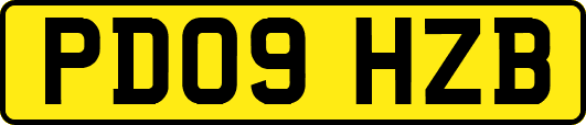 PD09HZB