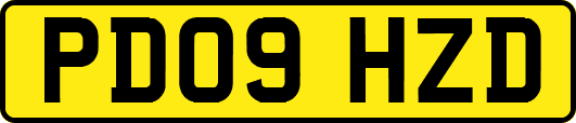 PD09HZD