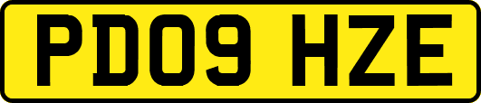PD09HZE