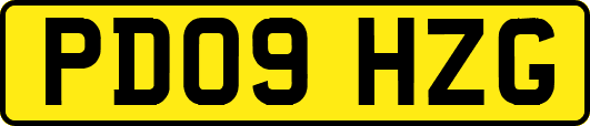 PD09HZG