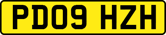 PD09HZH