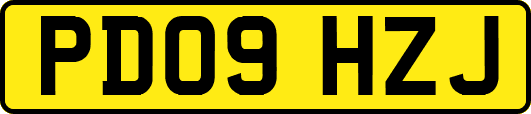 PD09HZJ