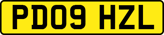 PD09HZL