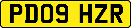 PD09HZR