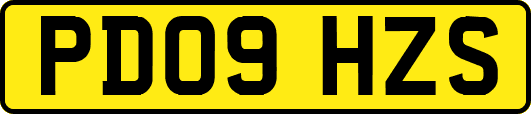 PD09HZS