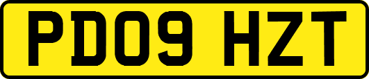 PD09HZT