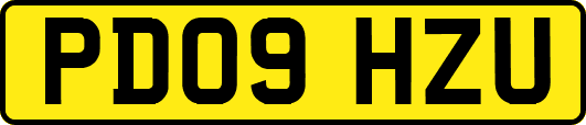 PD09HZU