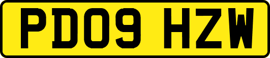 PD09HZW