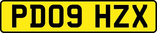 PD09HZX