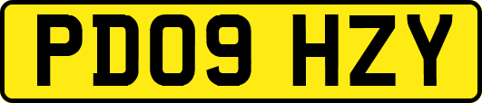 PD09HZY