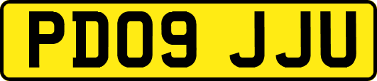 PD09JJU