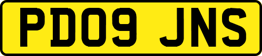 PD09JNS