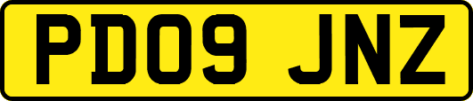 PD09JNZ