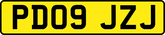 PD09JZJ