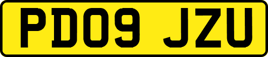 PD09JZU